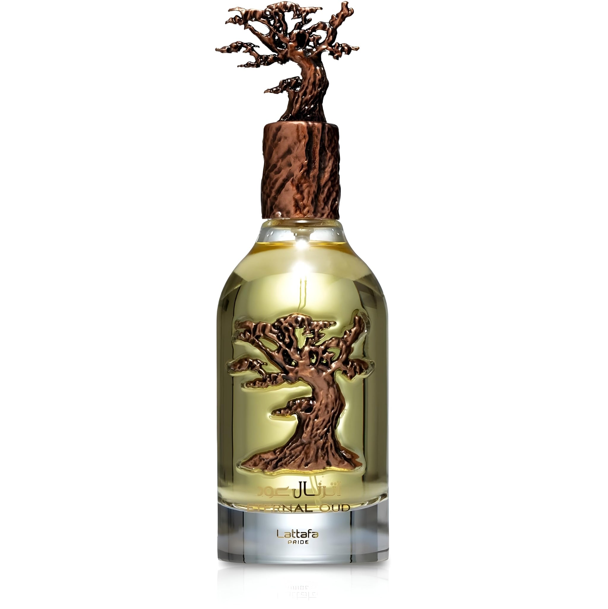 Eternal Oud EDP 3.4 oz Men