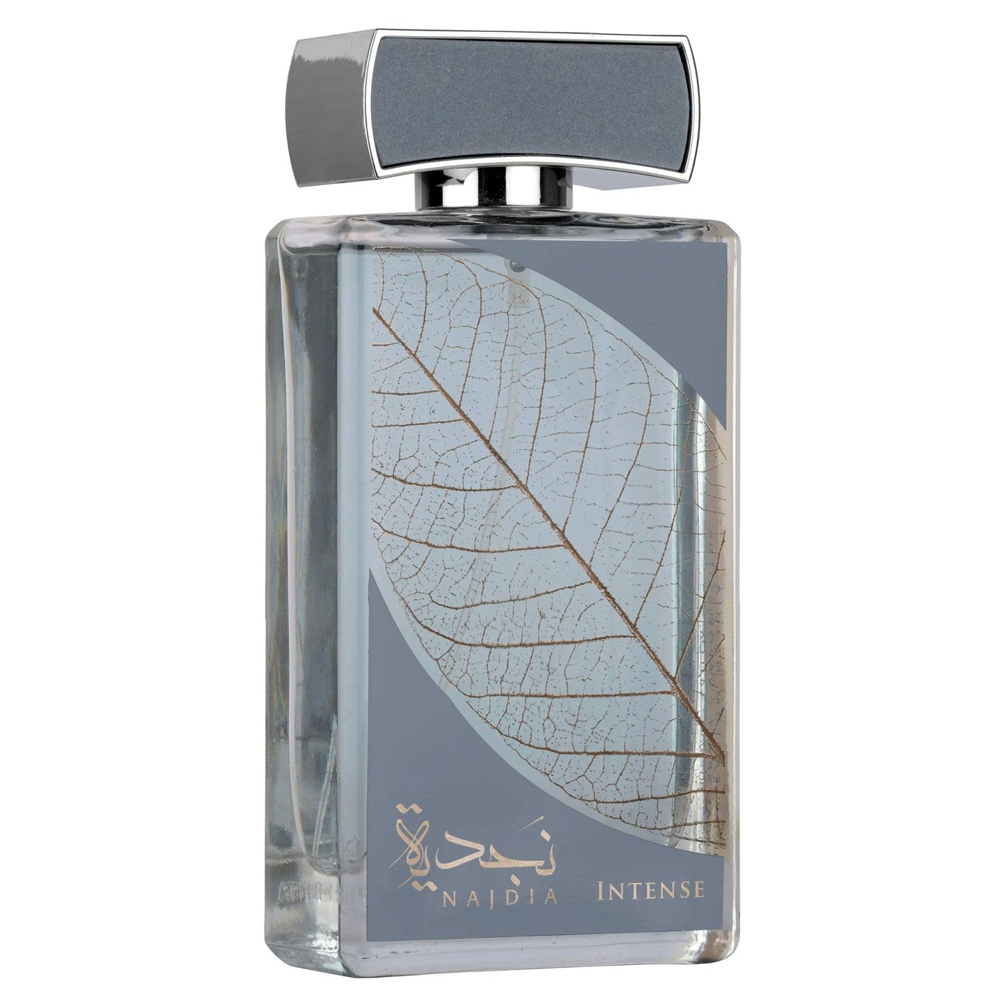 Najdia Intense EDP 3.4 oz Men